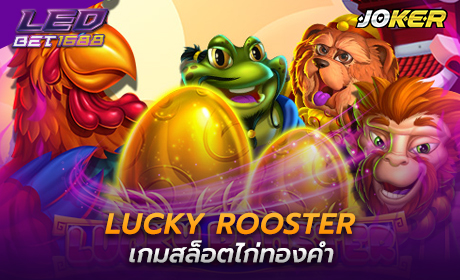 Lucky Rooster จาก Joker123