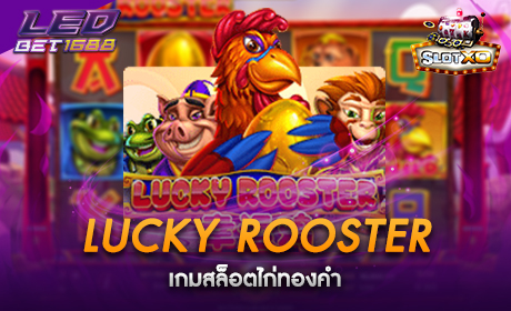 Lucky Rooster จาก Slotxo