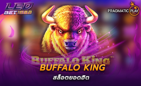 BUFFALO KING PP Slot Cover